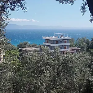 Adrian Agustin , Lukove Albania